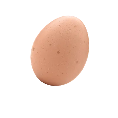 Rohes Ei als BARF-Supplement